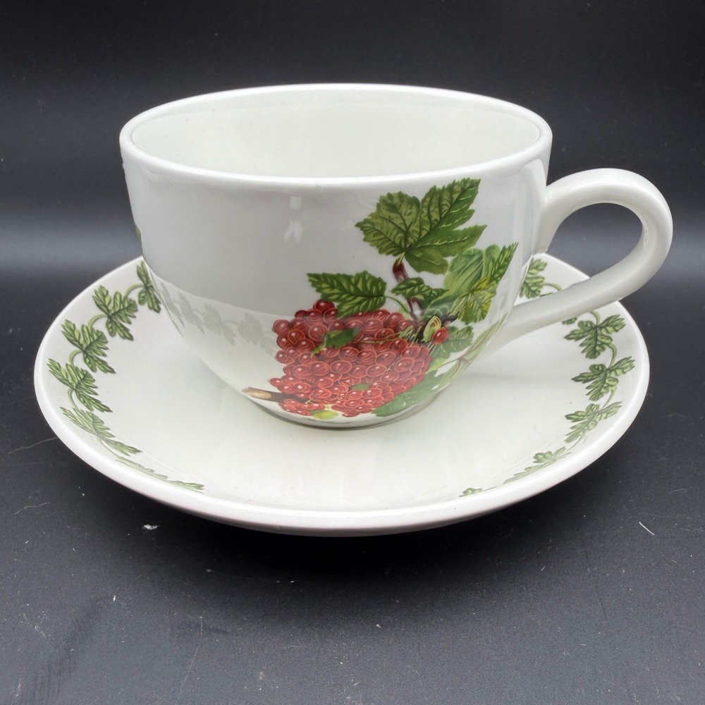 Vintage Portmeirion Pomona Red Currant Soup Mug Saucer Set OS Botanical Country
